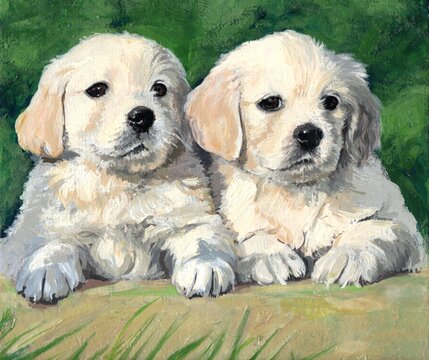 Portrait of two golden retriever puppies, biscuit colour. The two dogs pose against a background of greenery. Oil painting. Portrait made with oil paints.