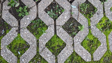 beautiful pattern of paving slabs and moss