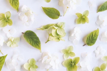 Kissenbezug Flowers of hydrangea background, white and green floral texture flat lay © Enso