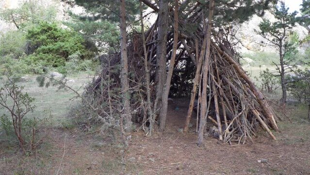 Beautiful view of a small teepee hut in the pine forest