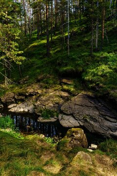 Vertical shot of shallow stream flowing through lush green vegetation of Divcibare mountain, Serbia