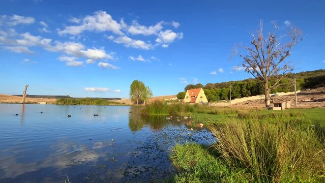 Partridge birds and ducks swimming on a lake