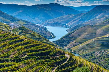 Scenic aerial view of Douro River surrounded by mountains on a sunny day