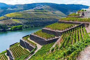 Naklejka premium Scenic aerial view of Douro River surrounded by mountains on a sunny day