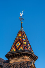 Fototapeta na wymiar Weather vane with white bird on top of a turret on the street, Ukraine