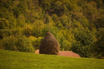 Scenic rural nature with a hay pile and a dense greenery