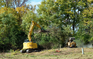 Excavator and Forestry Mulcher Clearing Land