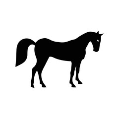 Animals mammal riding horse icon | Black Vector illustration |