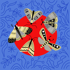 Composition of moths decorated by lines. Vector color illustration in doodle style.