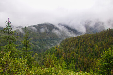 Low-hanging clouds cover the tops of forested mountains in Northwestern Idaho on an early Autumn day.