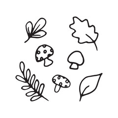 autumn leaves and mushrooms illustration