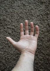 the human hand, the natural perfection in a part of the body