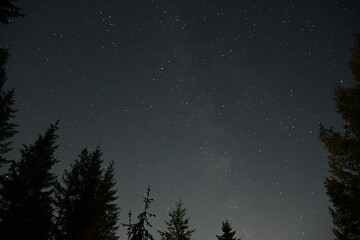 night sky with stars