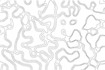 Abstract fluid topographic lines texture vector
