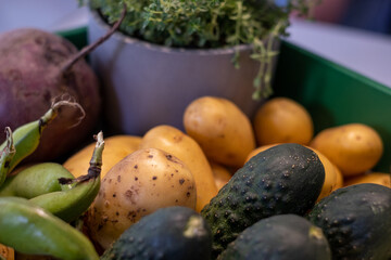 green box with vegetables, beets, potatoes, cucumbers and thyme in gray pot in kitchen with white blurred background, kitchen poster, food advertisement