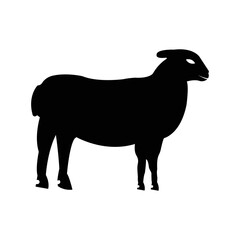 Domestic animals lamb sheep icon | Black Vector illustration |