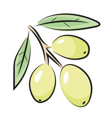 Gałązka oliwki