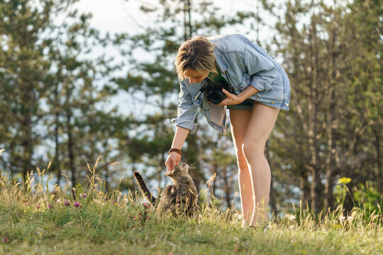 Young woman holding photo camera plays with domestic cat getting lost on empty forest glade. Female photographer with long bare legs wants to make picture of lovely animal against blurry green trees