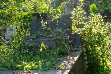 Tombstone covered with ferns in cemetery at ruins of  at Misión Jesuítica de Santa Ana, Argentina