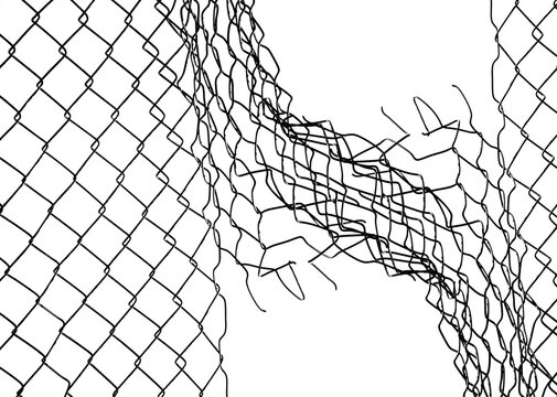Wire fence or metal net on sunset background. isolated on white background. hole in net. Wire mesh fence, Rabitz net. illustration.
