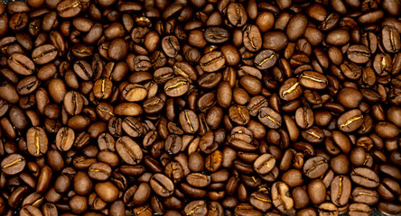 coffee beans background