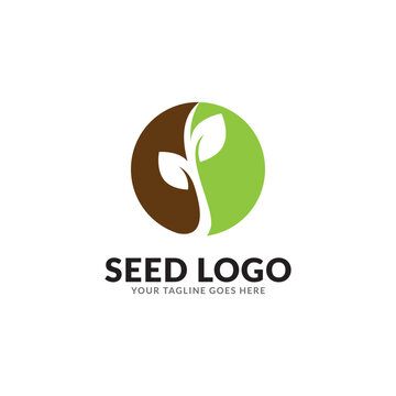 green seed logo type illustration.