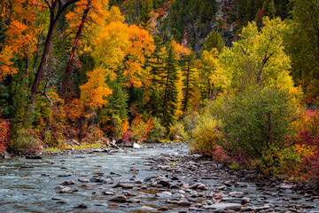 autumn in Colorado 