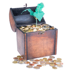 Wooden money chest filled with coins and a money tree