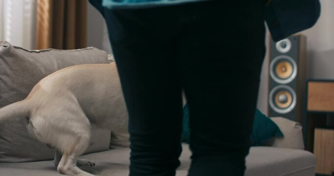 A man enters the living room with his four-legged shaggy friend. A bearded man with glasses is playing with the dog teasingly stroking it. The pet bites the owner on the hands.