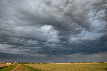 Stormy sky over the countryside. These dramatic clouds are known in meteorology as altocumulus asperitas. - obrazy, fototapety, plakaty
