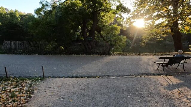 Plan long de vue d'une all&eacute;e de balade dans un parc en fin de journ&eacute;e, 119,88fps ralenti X4 - 29,97fps