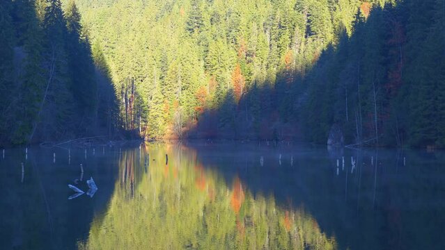 Autumn Forest Reflections in Red Lake, Harghita, Transylvania, Romania, 4k