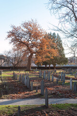 A cemetery with many tombstones during a sunny fall day
