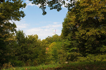 The woodland in Grajski Gric park on Castle Hill in the centre of Ljubljana, Slovenia 
