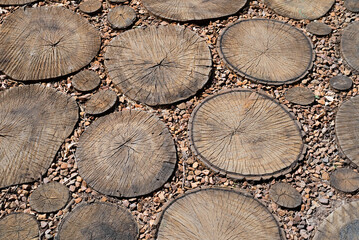 The path is paved with stones and wooden rings.