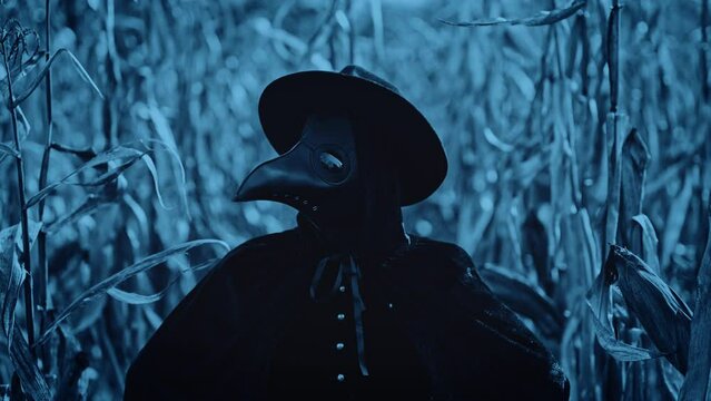 Plague doctor gothic woman at night in thickets of corn field. Creepy raven mask, halloween, historical terrible protection costume, death concept