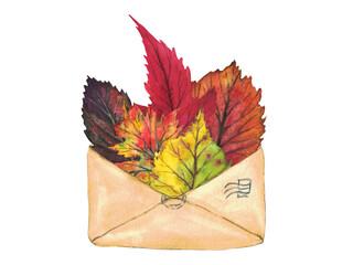 Autumn leaves in a envelope. Watercolor illustration on a white background. It can be used for greeting cards, posters, wedding cards.