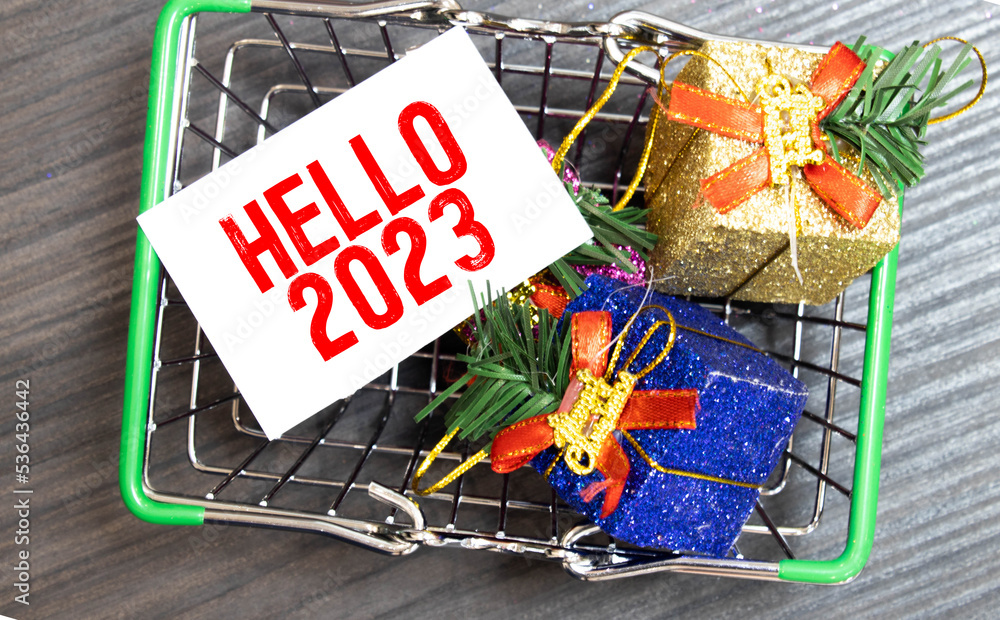 Poster hello 2023 text on a card on a holoub background next to decorative branches