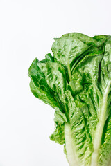 Lettuce leaves romano close-up on a white background. Fresh natural ingredients for cooking. Creative product concept with space for text