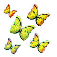 Farfalle colorate che vola