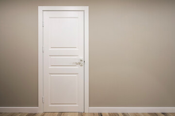 White interior door in the modern interior