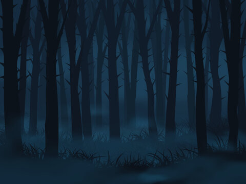 Dark foggy forest landscape. Abstract vector background