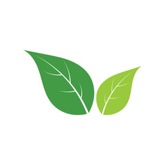 Logos of green Tree leaf ecology nature element vector