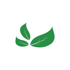 Logos of green Tree leaf ecology nature element vector