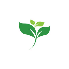 Logos of green Tree leaf ecology nature element vector