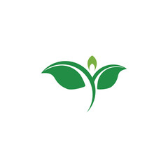 Logos of green Tree leaf ecology nature element vector