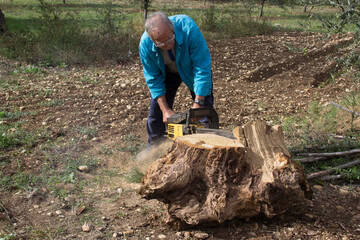 Elderly man who with a chainsaw chops a log of wood to stock up on wood in anticipation of winter. Return to heating with the fireplace due to the excessive cost of natural gas.
