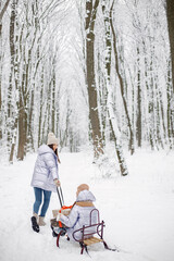 Brunette mother and and her daughter riding a sled in winter forest