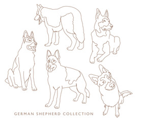 Fototapeta premium German Shepherd Illustration Collection - Various Poses - Outline