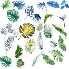 tropical colored leaves